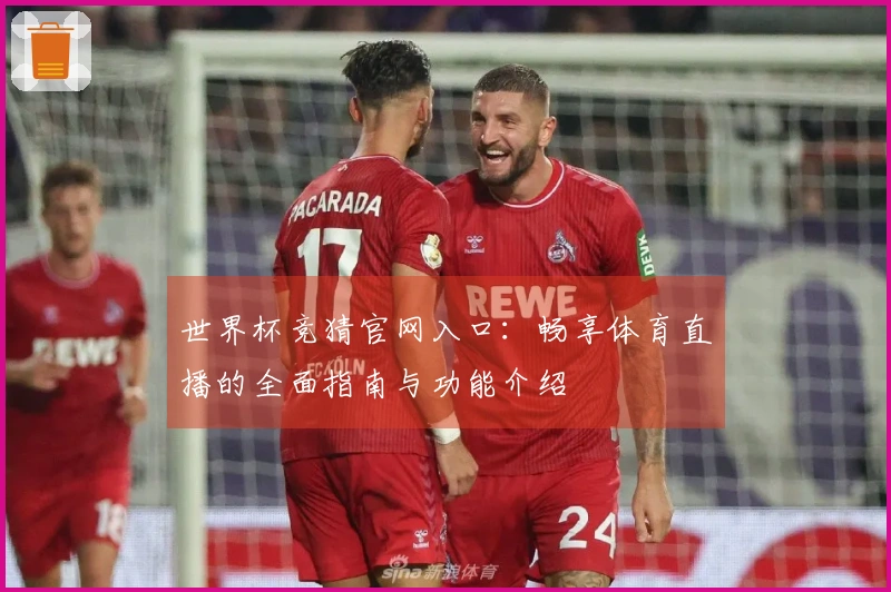 世界杯竞猜官网入口：畅享体育直播的全面指南与功能介绍