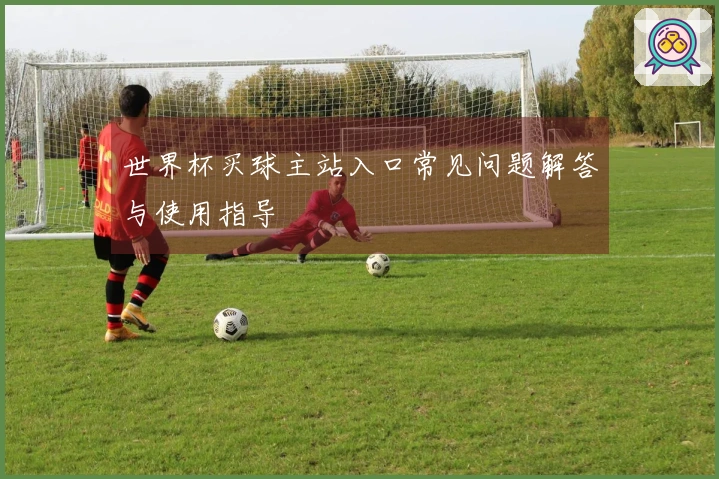 世界杯买球主站入口常见问题解答与使用指导