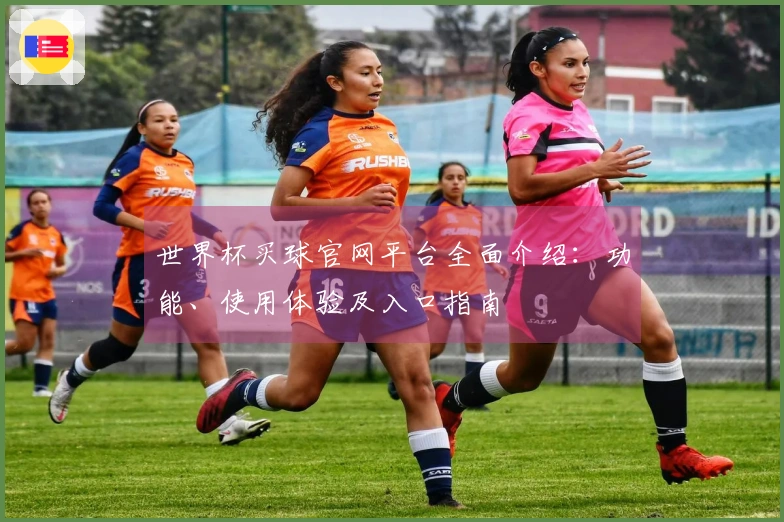 世界杯买球官网平台全面介绍：功能、使用体验及入口指南
