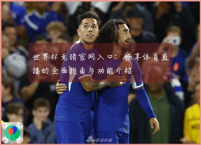 世界杯竞猜官网入口：畅享体育直播的全面指南与功能介绍