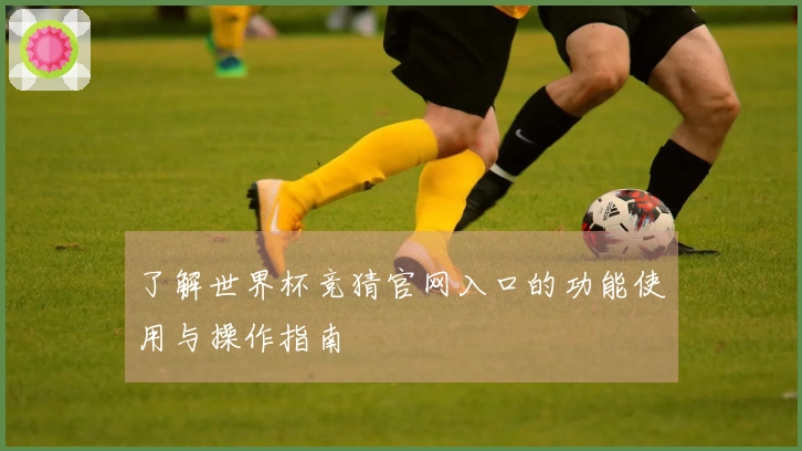 了解世界杯竞猜官网入口的功能使用与操作指南