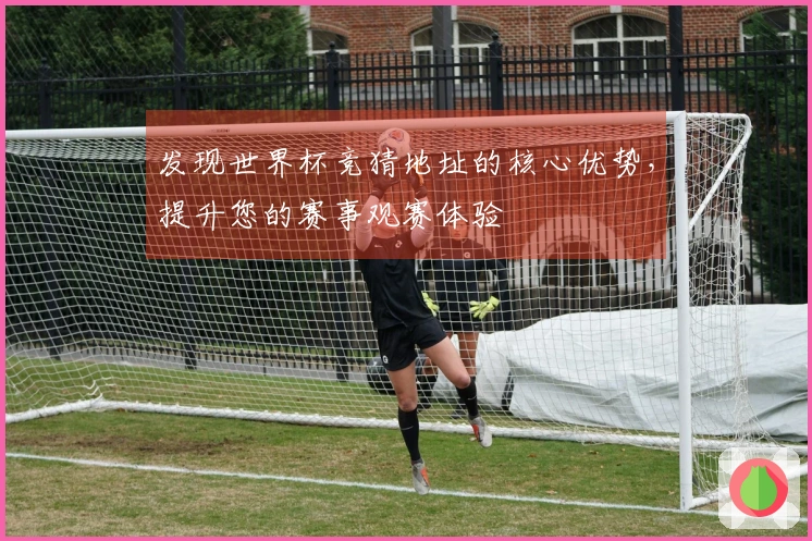 发现世界杯竞猜地址的核心优势，提升您的赛事观赛体验