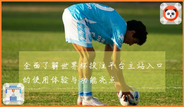 全面了解世界杯投注平台主站入口的使用体验与功能亮点